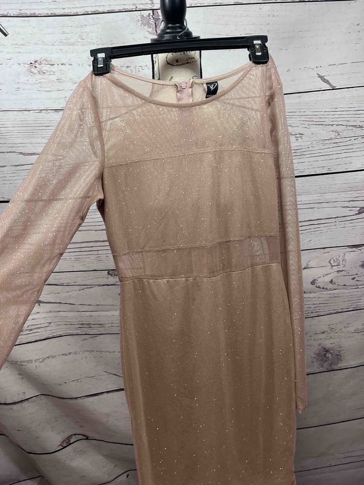 Windsor Medium Sheer Long Sleeve Glitter Tan Eveningโ Dress